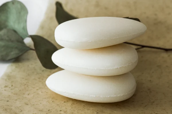 Festes Shampoo 1 MG 7659 end