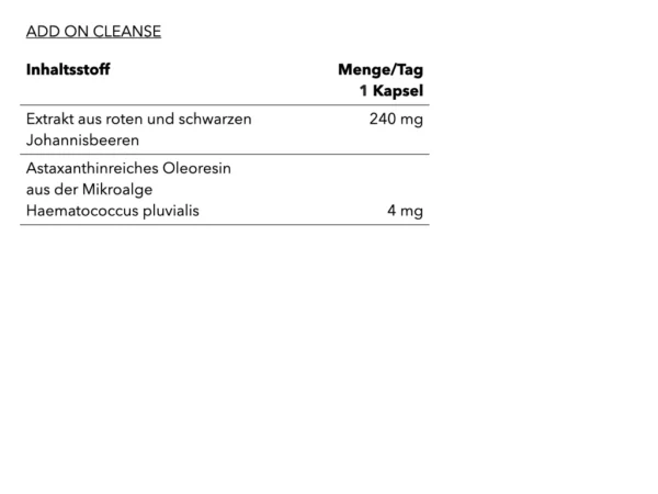 CLEANSE ADD-ON 2 240221 NEU Add On Cleanse